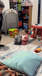 Elefante Falante Esconde-esconde - Familyplace™